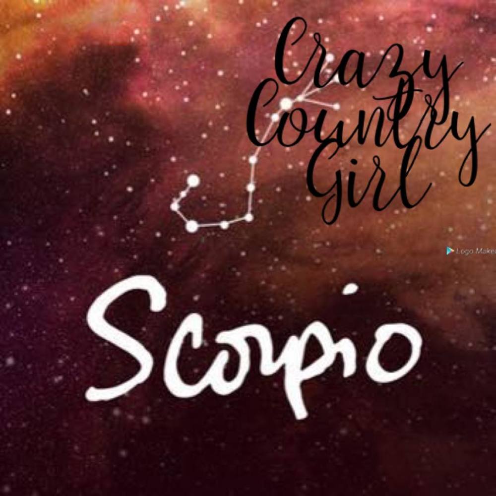 Meet your Posher, Judy